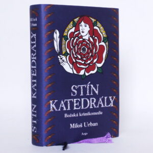 Stín katedrály