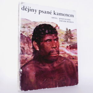 Dějiny psané kamenem