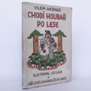 Chodí houbař po lese