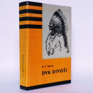 Dva divoši