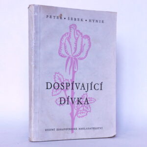 Dospívající dívka