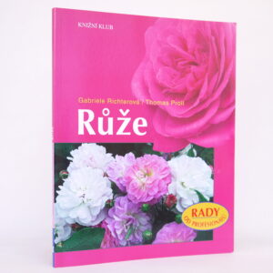 Růže