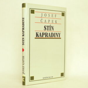 Stín kapradiny
