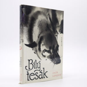 Bílý tesák