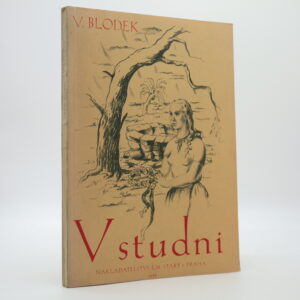 V studni