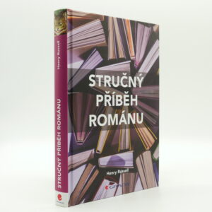 Stručný příběh románu