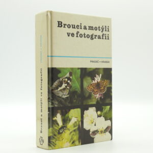 Brouci a motýli ve fotografii