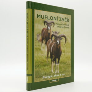 Mufloní zvěř