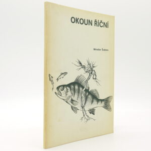 Okoun říční