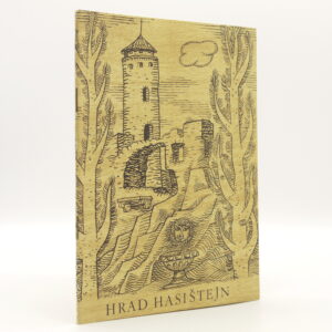 Hasištejn: Přehled dějin hradu