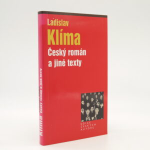 Český román a jiné texty