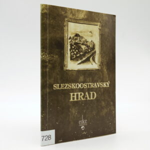 Slezskoostravský hrad