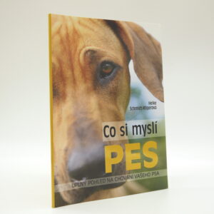 Co si myslí pes