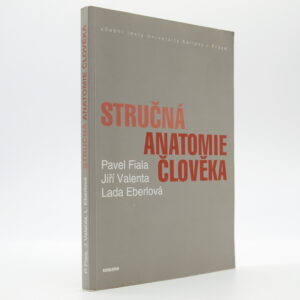 Stručná anatomie člověka