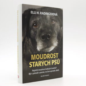 Moudrost starých psů