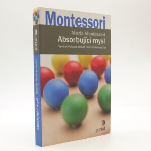 Absorbující mysl