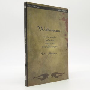 Wetemaa 1: Družiníci (Kniha osudu jedenácti družiníků krále Gudleifra)