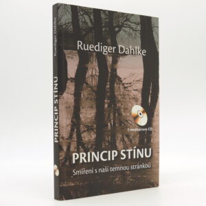 Princip stínu