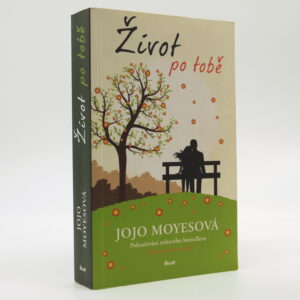 Život po tobě